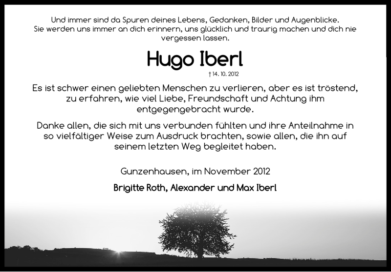  Traueranzeige für Hugo Iberl vom 07.11.2012 aus Neumarkter Nachrichten Lokal